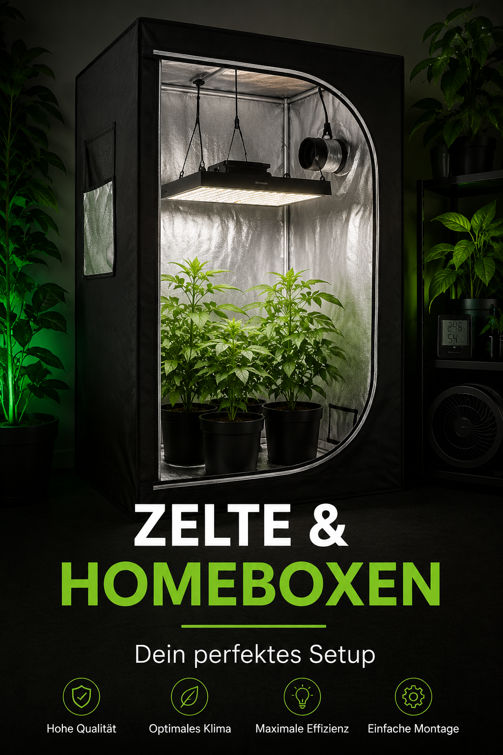 Zelte, Homebox Allgemein