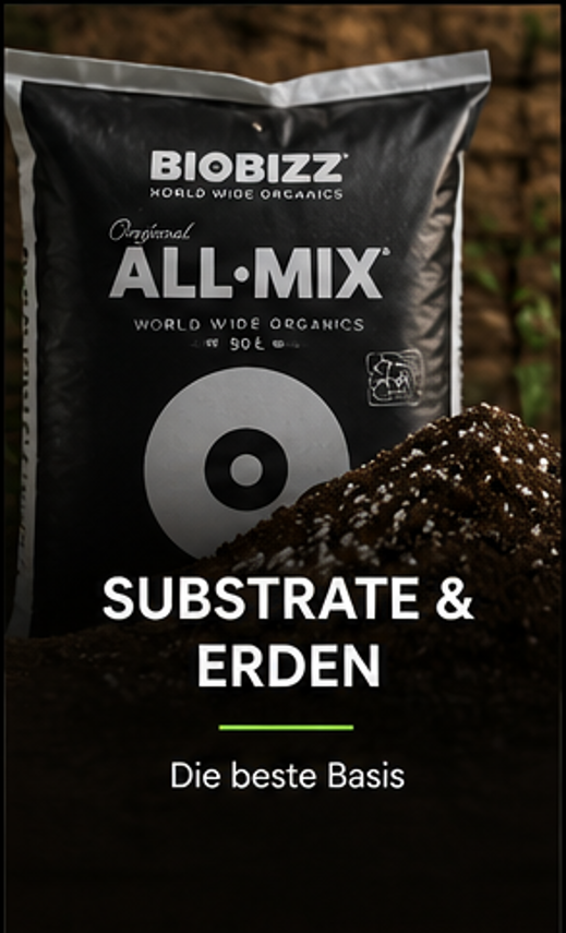 Substrate & Medien