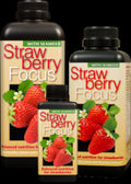 Strawberry Focus Hard Water 300ml
