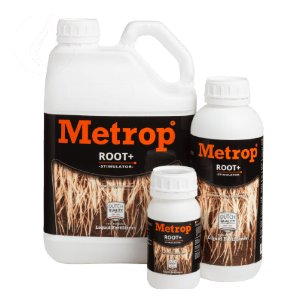 Metrop Root + 5L
