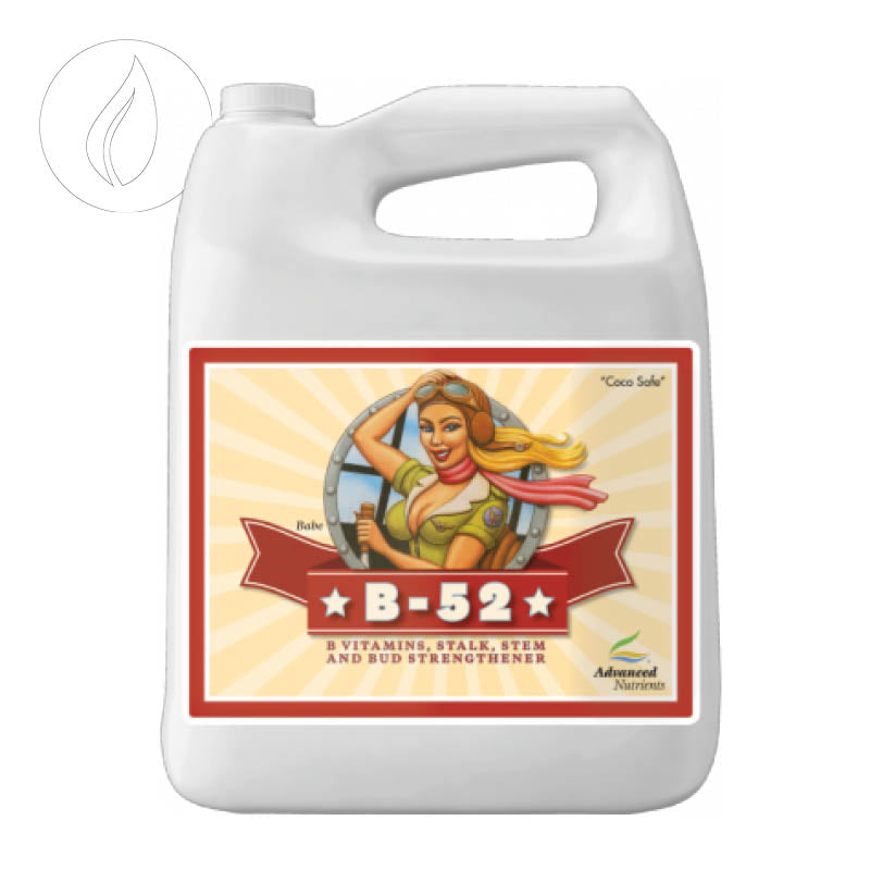 Advanced Nutrients B-52 10L