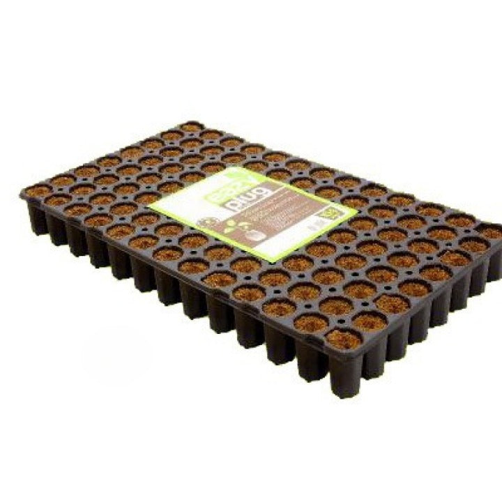 Eazy Plug 6 Trays mit je 104Stk rund Ø 3.5cm Box