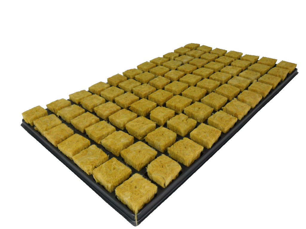 Cultilene Stecklings-Tray, 77Stk à 3.5 x 3.5cm