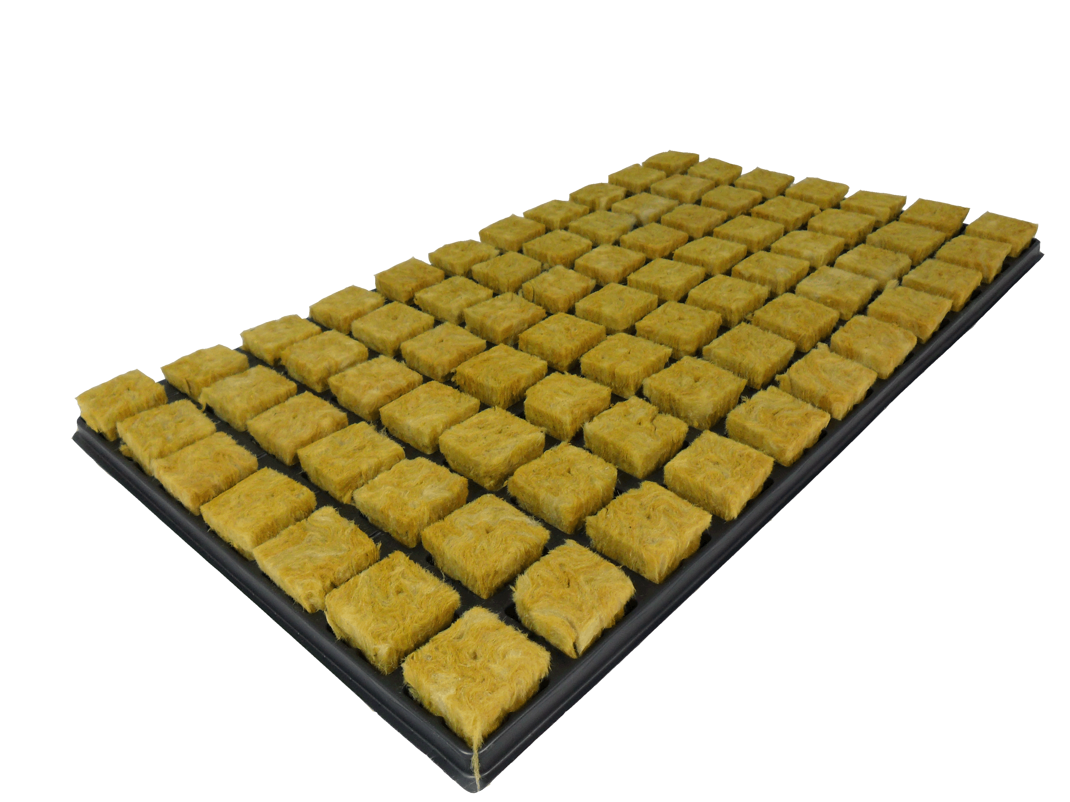 Cultilene -ganze Kiste- 18 Trays mit je 77Stk à 3.5 x 3.5cm