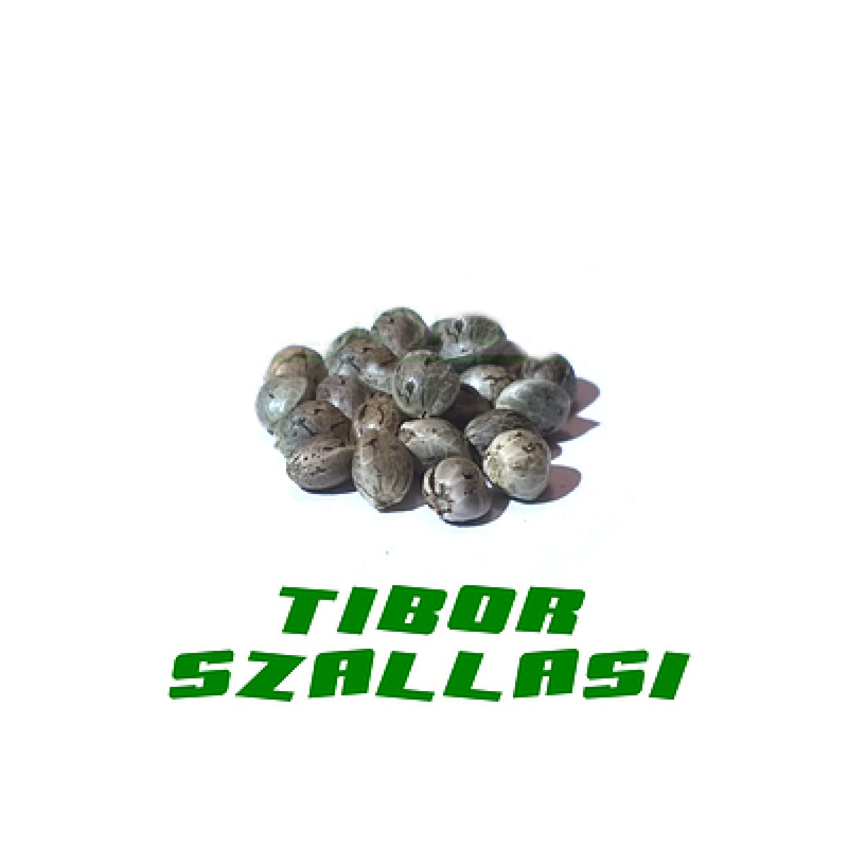 Hanfsamen Tiborszallasi 25Stk