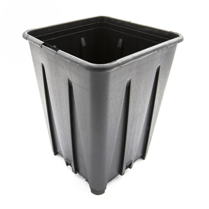Bamaplast Topf 2.5l 13x13x18 Mit Wurzelsteg