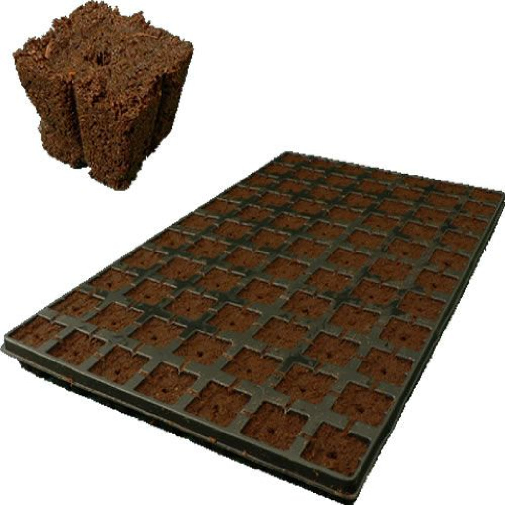 Eazy Plug 10 Trays mit je 77Stk à 3.5 x 3.5cm Box