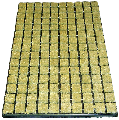 Cultilene Stecklings-Tray, 150 Stk à 2.5 x 2.5cm