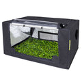 Garden High ProBox Propagator M 80 x 60 x 40cm