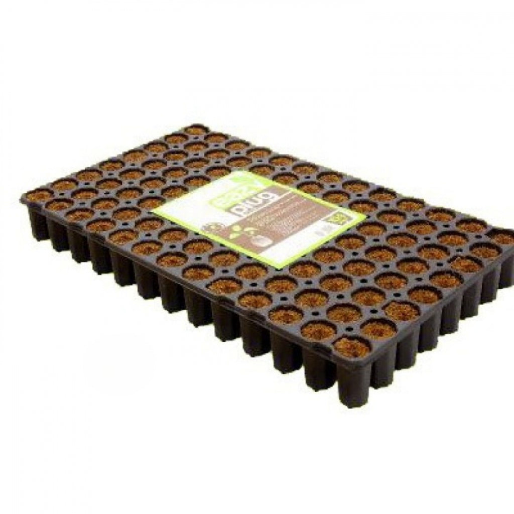 Eazy Plug 6 Trays mit je 104Stk rund Ø 3.5cm Box