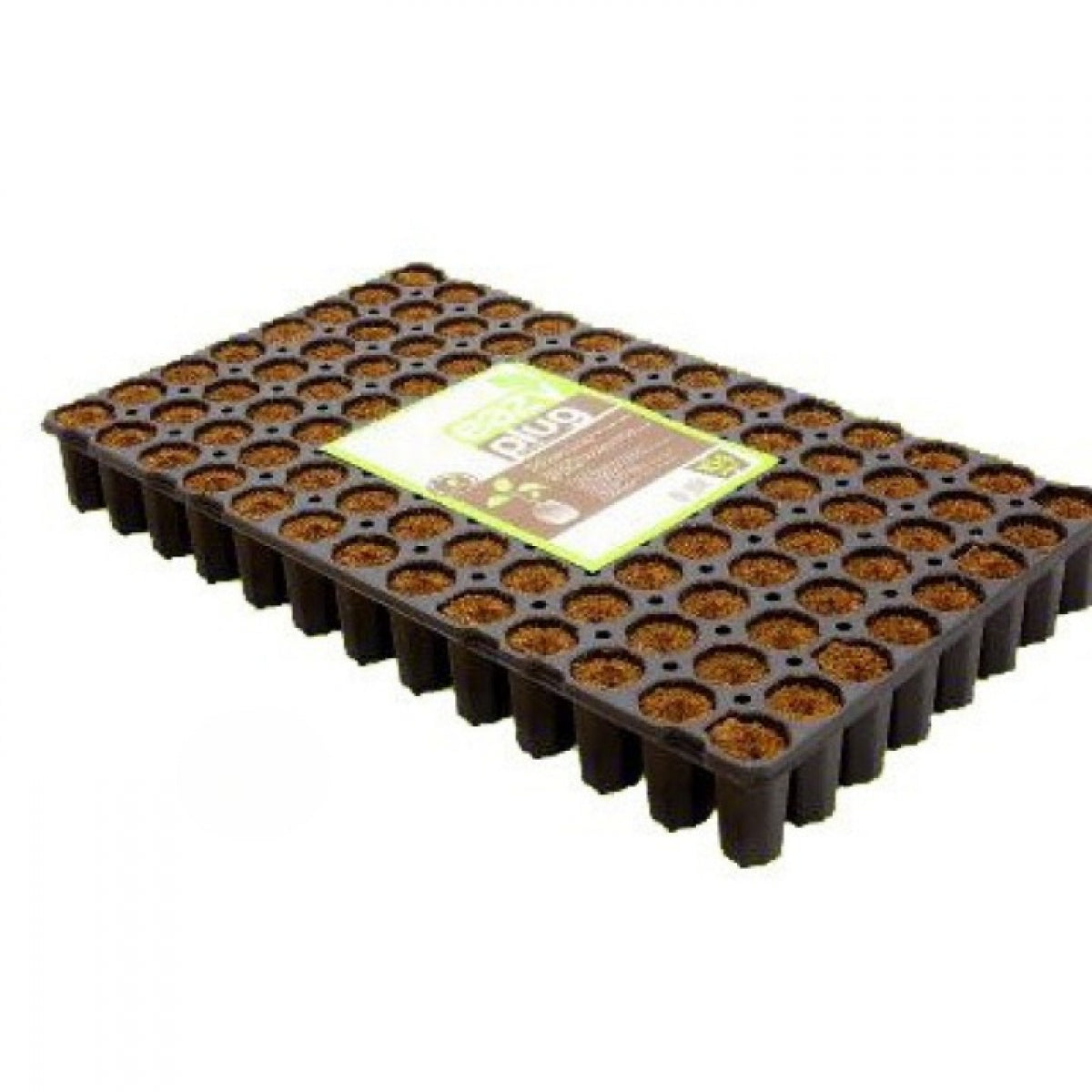 Eazy Plug 6 Trays mit je 104Stk rund Ø 3.5cm Box