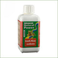 Natural Power Growth/Bloom Excellarator 1L