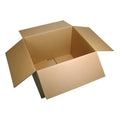 Kartonkiste für Stecklinge 55x33x22.5cm