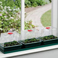 Garland Three Top Fenstergewächshaus