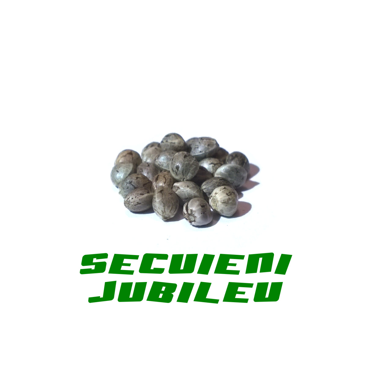 Hanfsamen Secuieni Jubileu 200Stk.