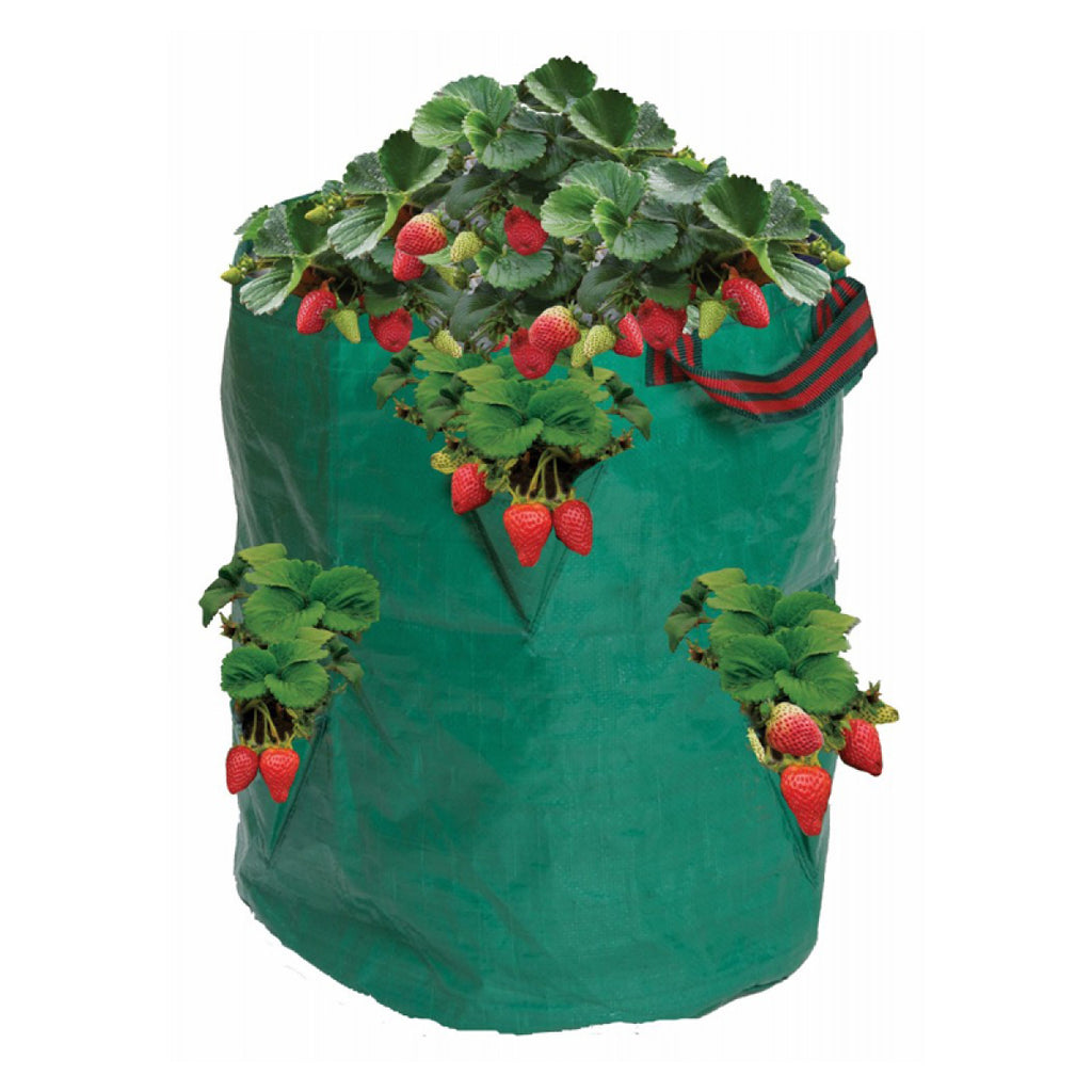 Garland Erdbeeren und Kräuter Sack