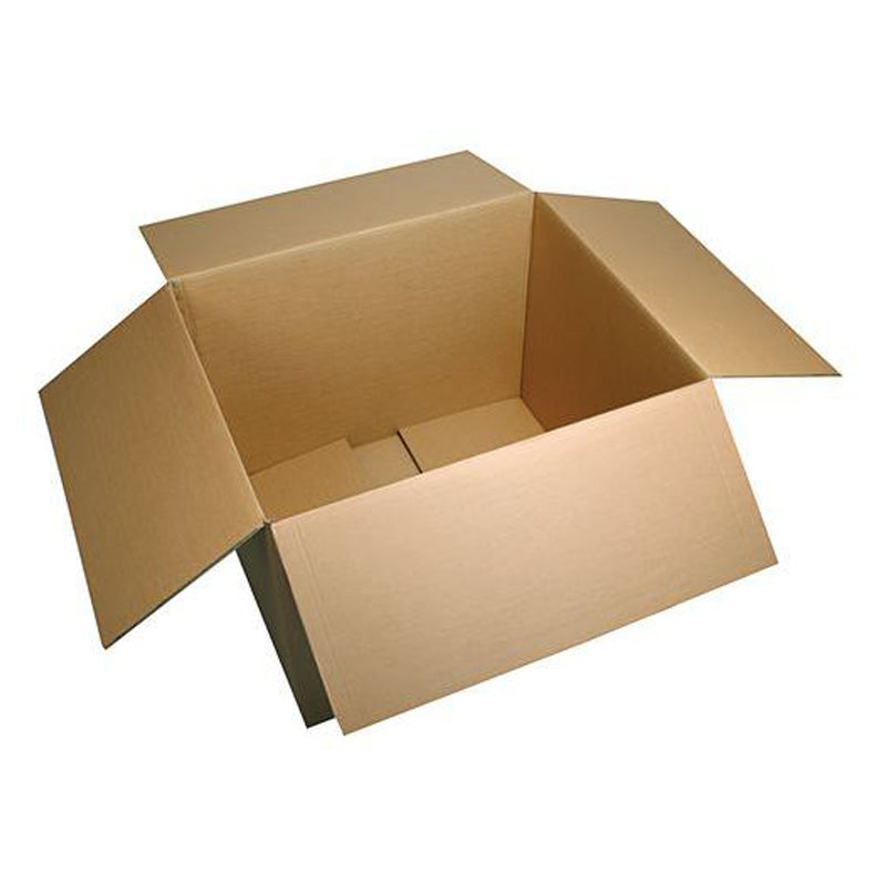 Kartonkiste für Stecklinge 55x33x22.5cm