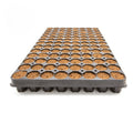 Intra Plug 104er Tray Coco 7 Trays Box