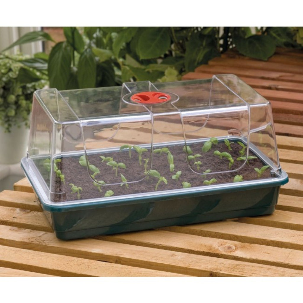 Large High Dome Propagator 37.5cm x 23cm x 18cm