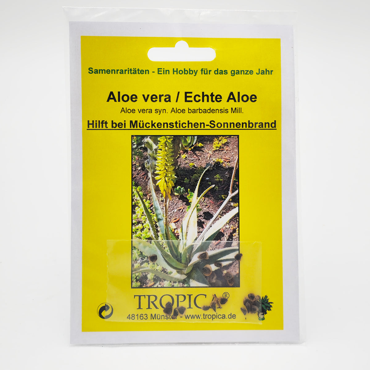 Tropica Aloe vera / Echte Aloe (Aloe vera syn. Aloe barbadensis Mill.) - 10 Samen