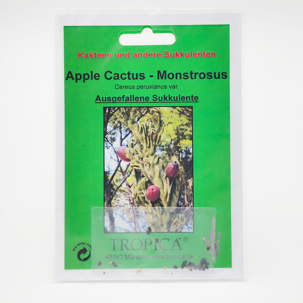 Tropica Kakteen - Apple Cactus - Monstrosus (Cereus peruvianus var.) - 20 Samen