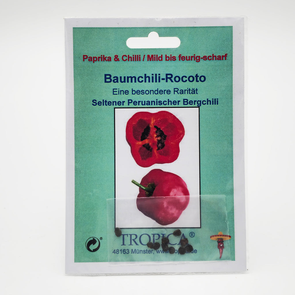 Baumchili- Rocoto ( Capsicum pubescens ) - 10 Korn