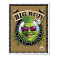 Advanced Nutrients Big Bud Coco 5L