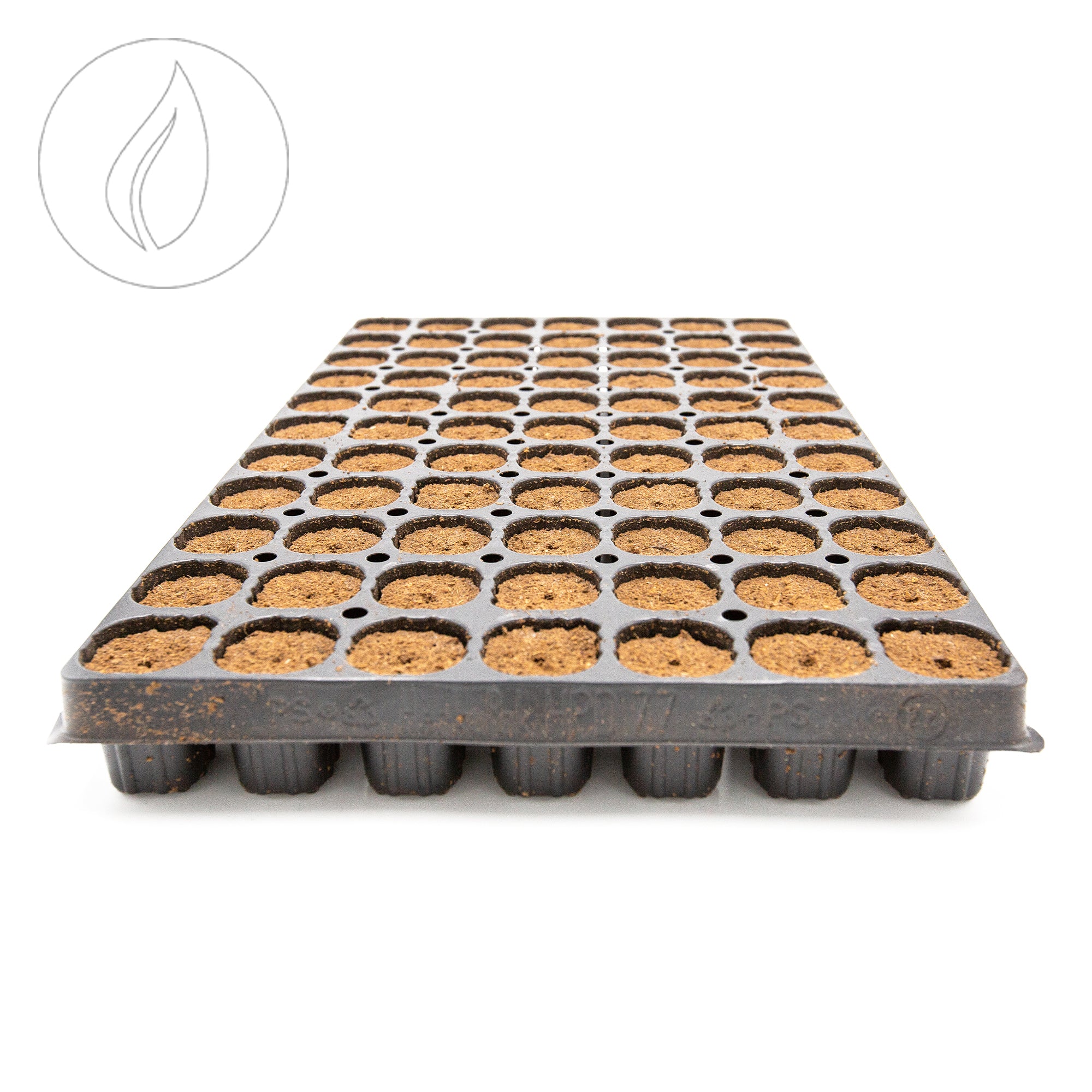 Intra Plug 77er Tray Coco 7 Trays Box