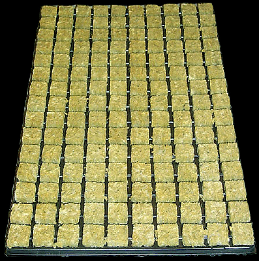 Cultilene Stecklings-Tray, 150 Stk à 2.5 x 2.5cm