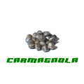 Hanfsamen Carmagnola