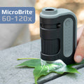 Carson MicroBrite Plus 60-120x LED Lighted Pocket Microscope