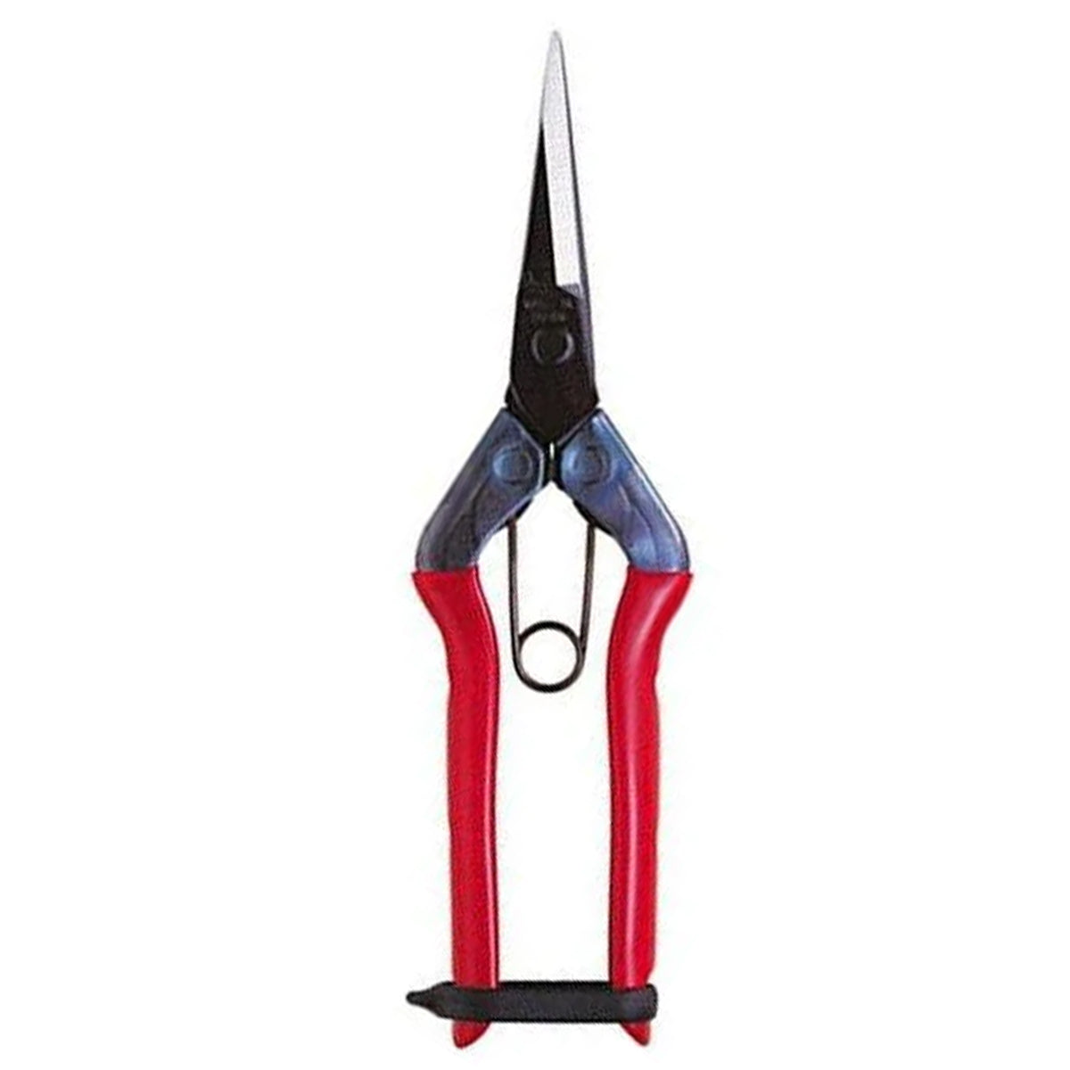 Chikamasa Scissor T550