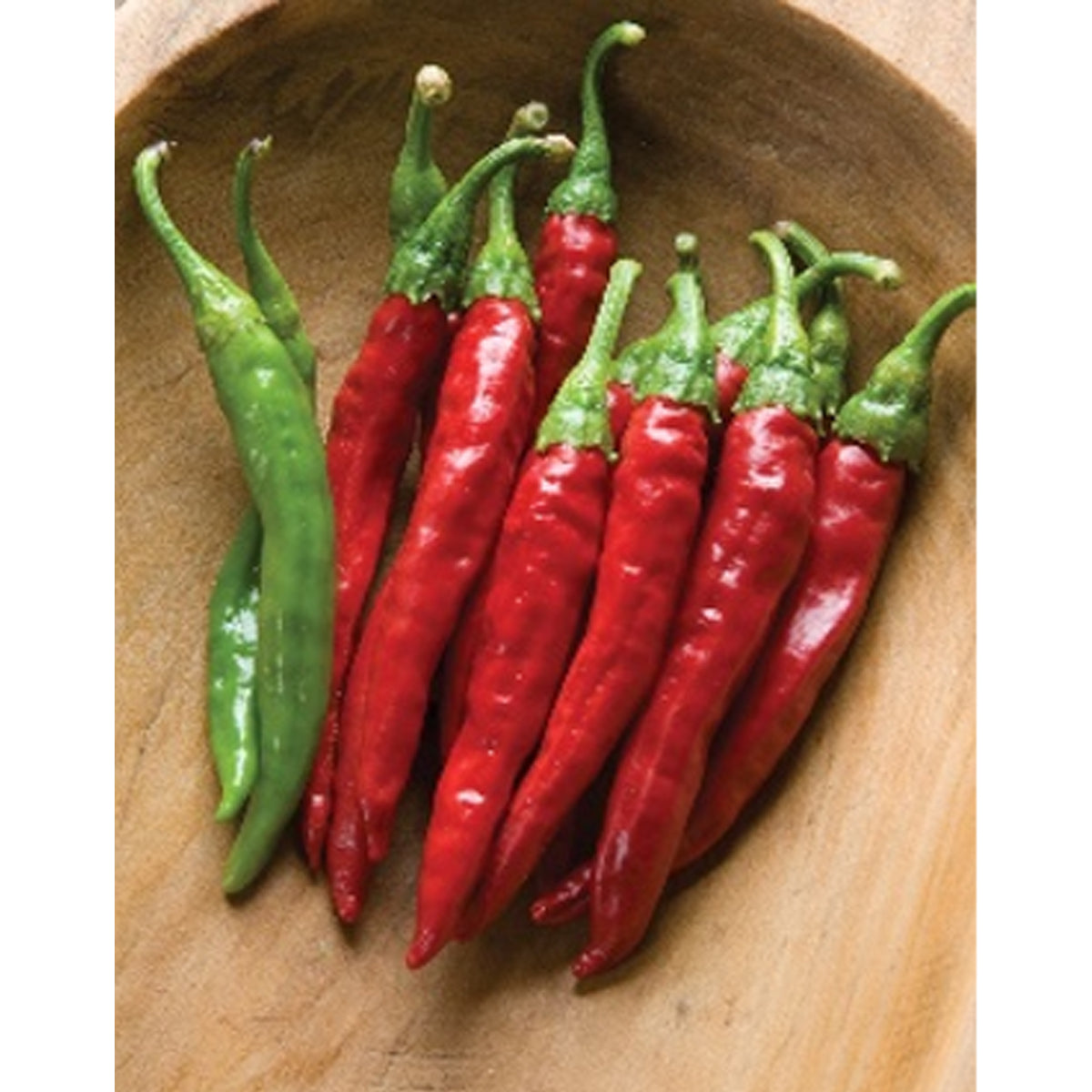 Chili Red Rocket (Capsicum Annum)