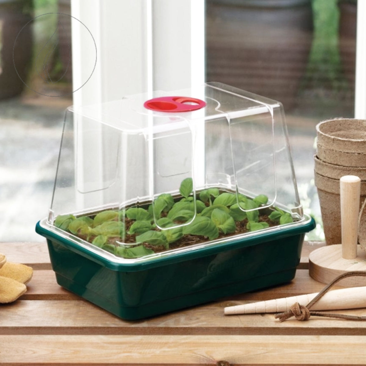 Small High Dome Propagator 23cm x 17cm x 18cm