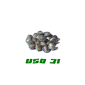 Hanfsamen USO 31 200Stk