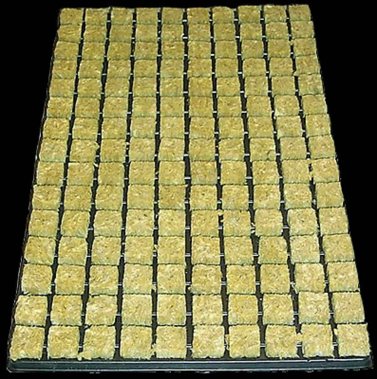 Cultilene -ganze Kiste- 18 Trays mit je 150Stk à 2.5 x 2.5cm