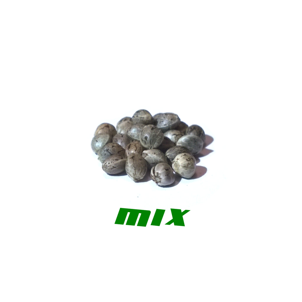 Hanfsamen Mix
