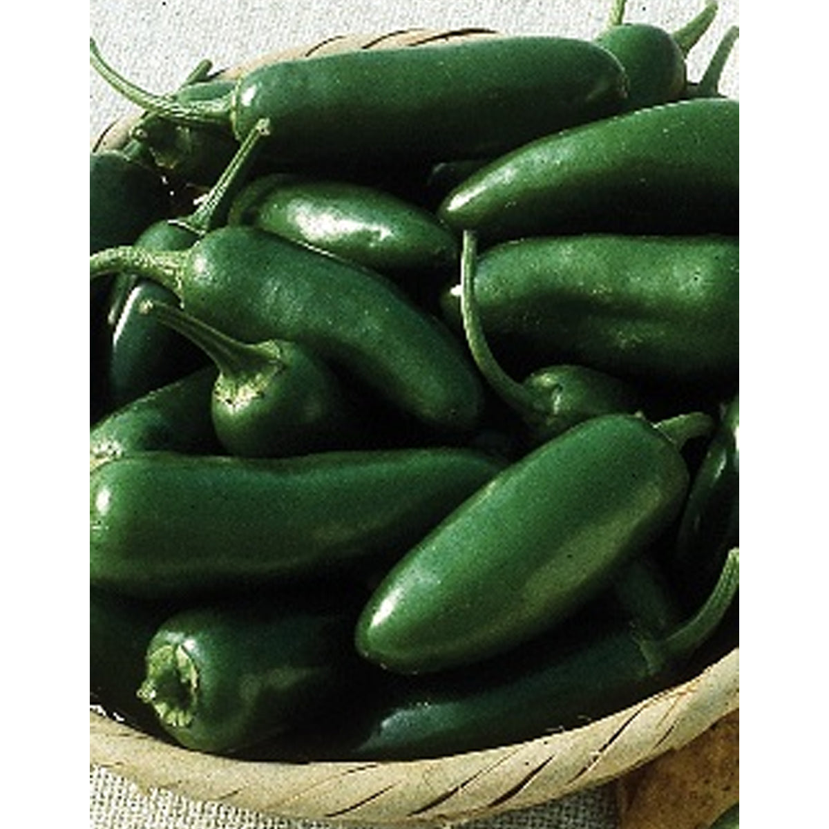 Early Jalapeno (Capsicum Annum)
