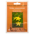 Echtes Johanniskraut (Hypericum perforatum)