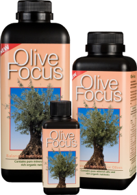 Olive Focus Hard Water 1L