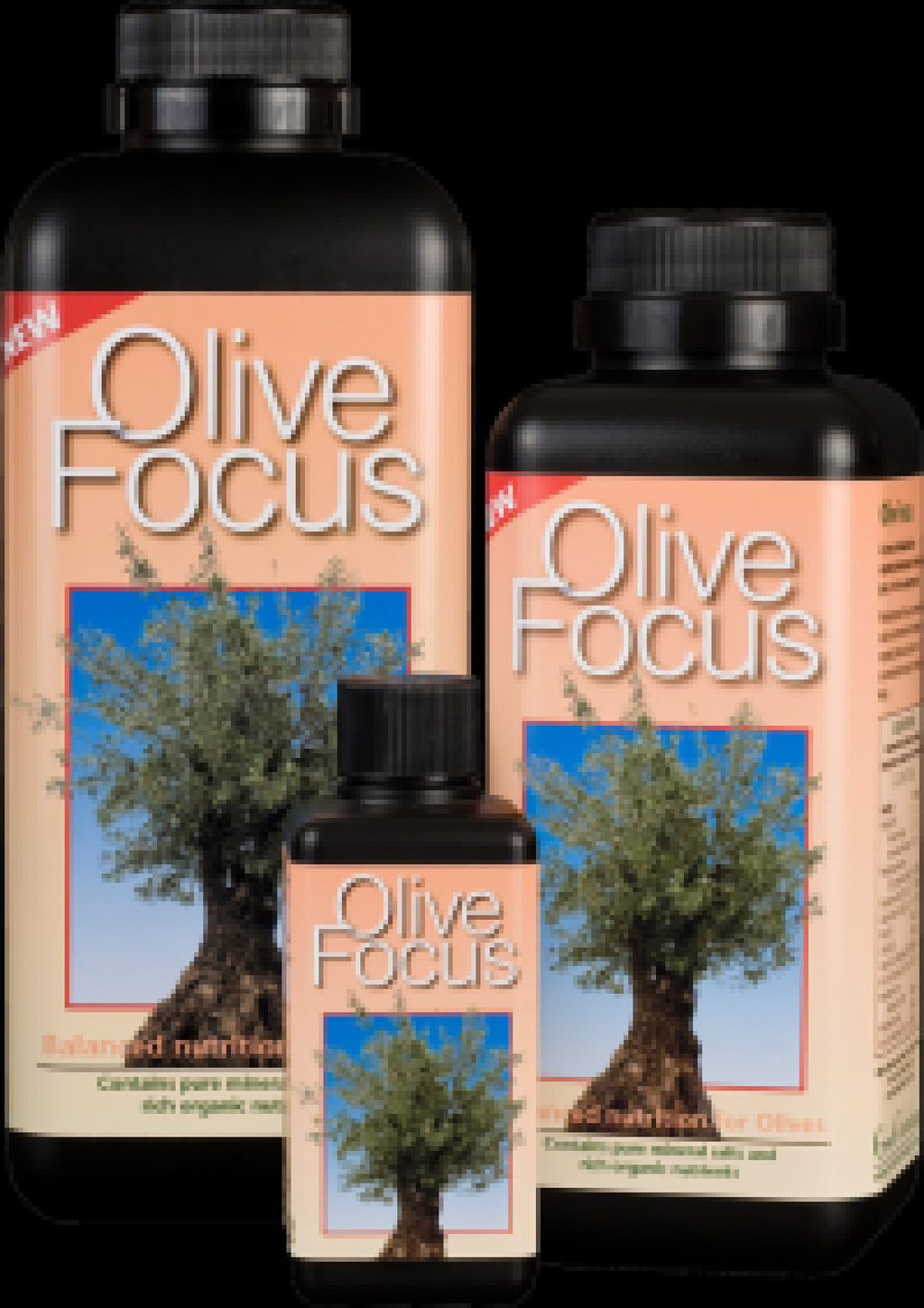 Olive Focus Hard Water 1L
