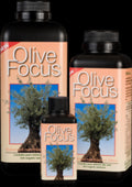 Olive Focus Hard Water 1L