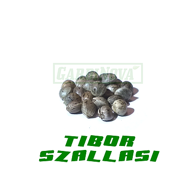 Hanfsamen Tiborszallasi 200Stk