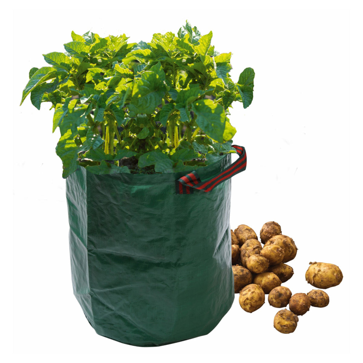 Garland Kartoffel Sack