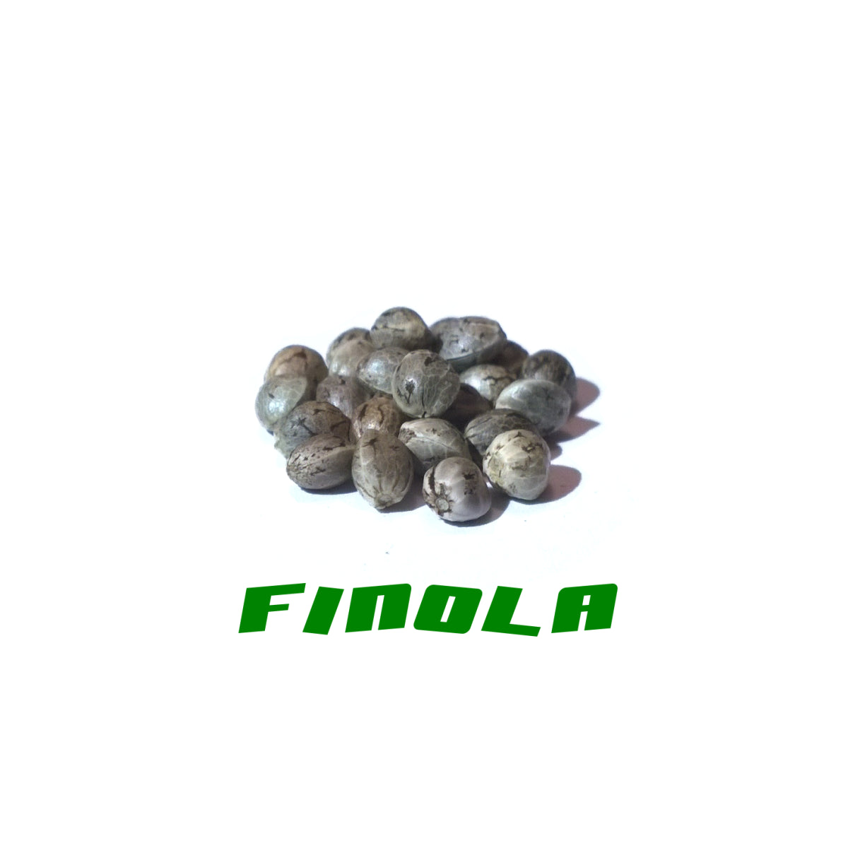 Hanfsamen Finola