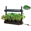 Garland Micro Grow Light Garden LED Black