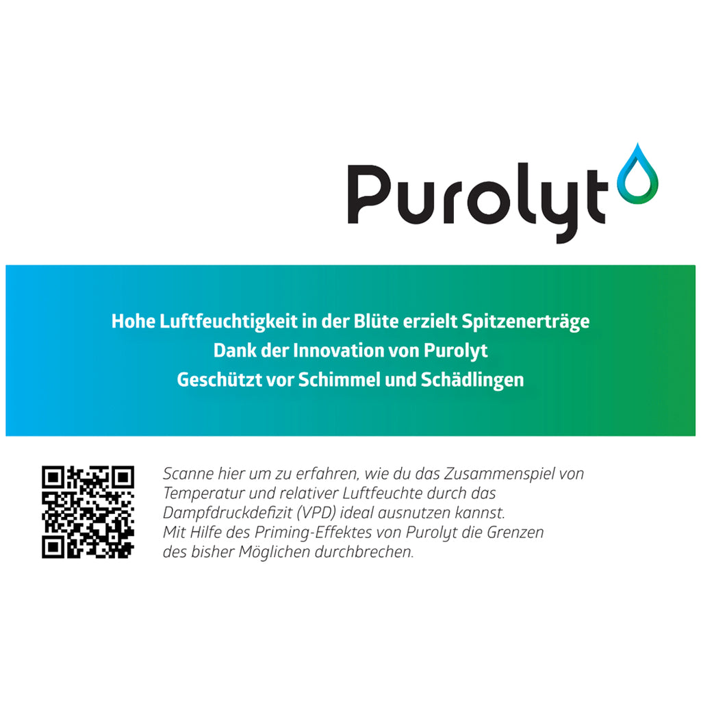 Purolyt 1L