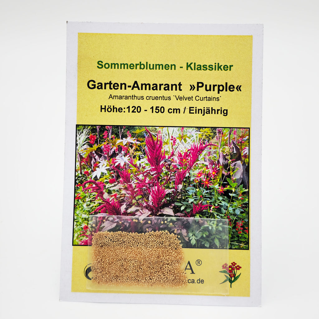 Tropica Garten-Amarant Purple ( Amaranthus cruentus Velvet Curtains) - 200 Samen