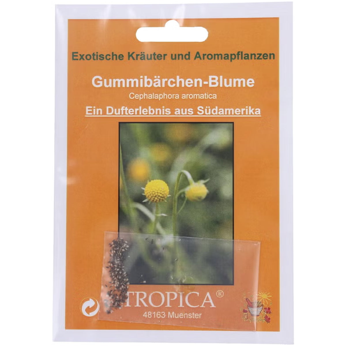 Tropica Gummibärchen-Blume Cephalaphora aromatica