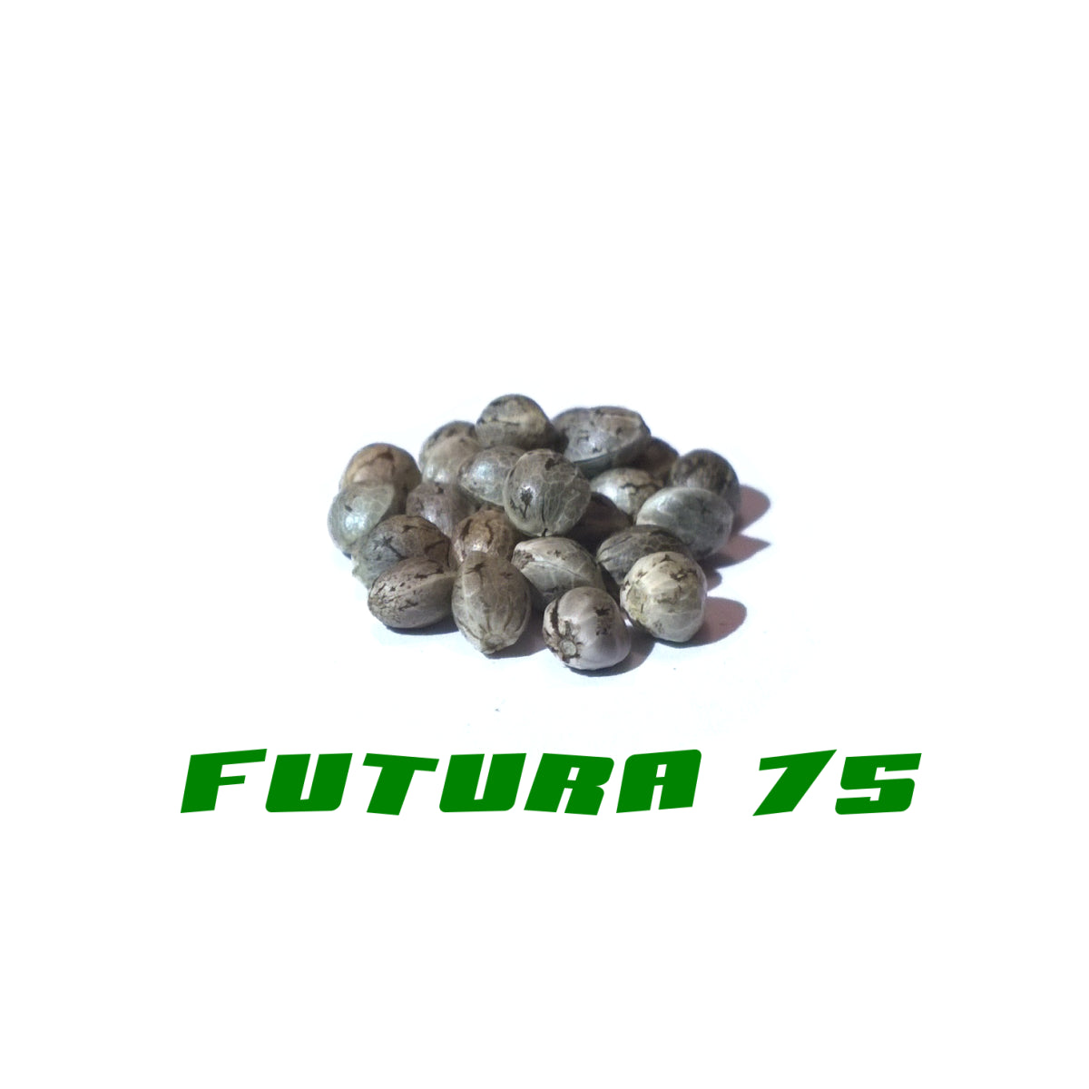 Hanfsamen Futura 75
